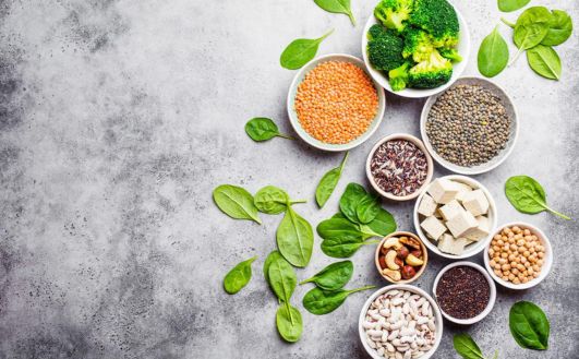 A colorful assortment of legumes, including beans, lentils, and peas, arranged neatly in different bowls. Various plants and protein sources are also displayed, highlighting the diverse and healthy options.
